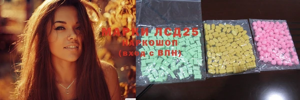 spice Богданович