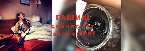индика Белокуриха