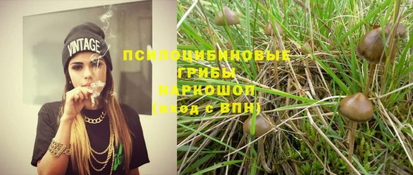 spice Богданович