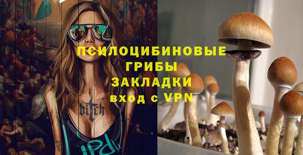 индика Белокуриха