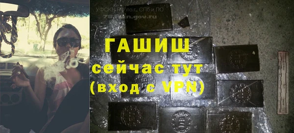 индика Белокуриха