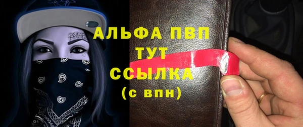 spice Богданович