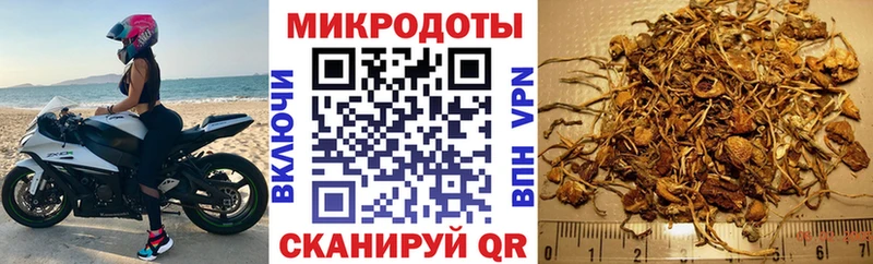 купить наркотики цена  Астрахань  Галлюциногенные грибы прущие грибы 